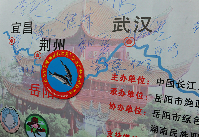 1462784748834041.jpg DSC_4122.JPG